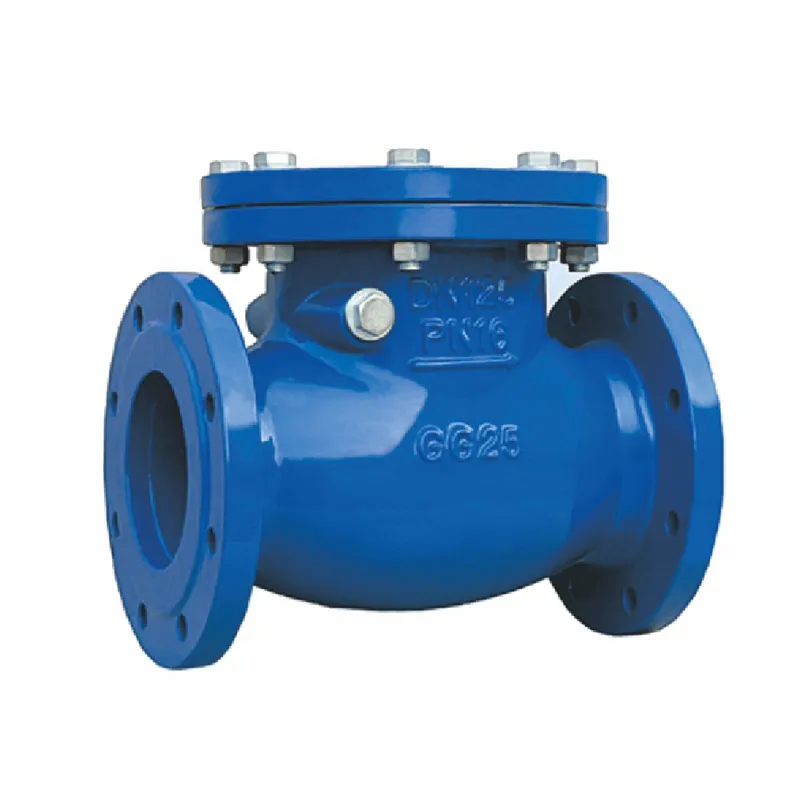 check valve